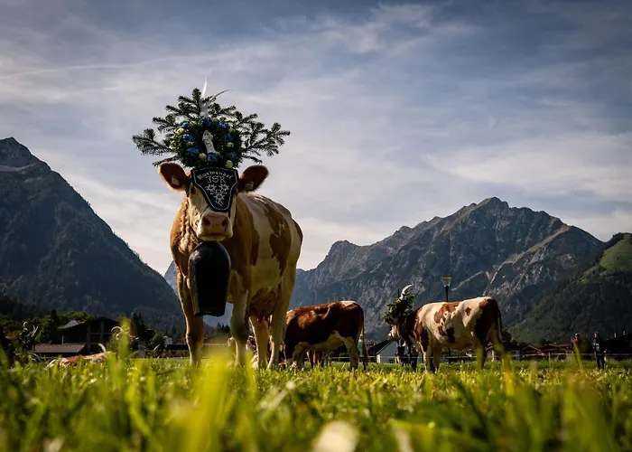 Hotel Nova Moments Boutique