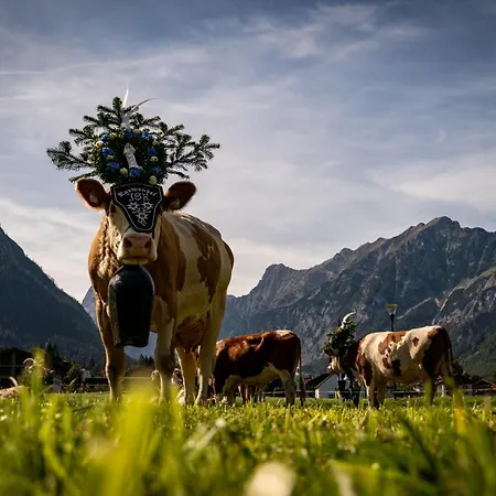 Hotel Nova Moments Boutique