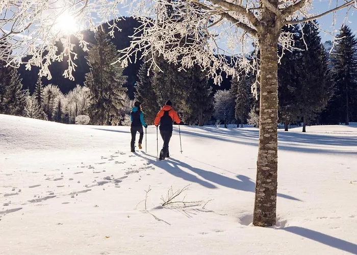 호텔 Nova Moments Boutique